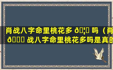 肖战八字命里桃花多 🦄 吗（肖 🐈 战八字命里桃花多吗是真的吗）